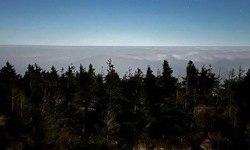 f38d 4b01 4d72 888d 860e2cd243e - 8360f38d-4b01-4d72-888d-860e2cd243e5.jpg